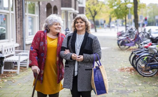 Thuisbegeleiding